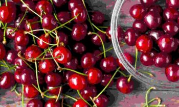 5 Wonderful Health Benefits Of Cherries For Overall Well-Being