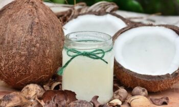 World Coconut Day 2024: 5 Incredible Benefits to Include Coconuts in Your Diet